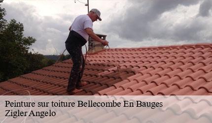 Peinture sur toiture  bellecombe-en-bauges-73340 Zigler Angelo