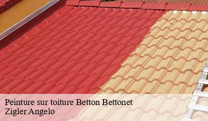 Peinture sur toiture  betton-bettonet-73390 Zigler Angelo