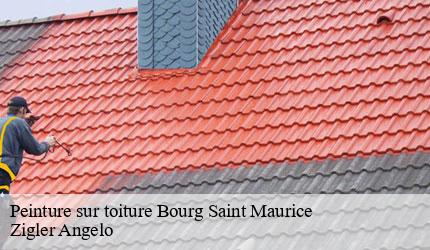 Peinture sur toiture  bourg-saint-maurice-73700 Zigler Angelo