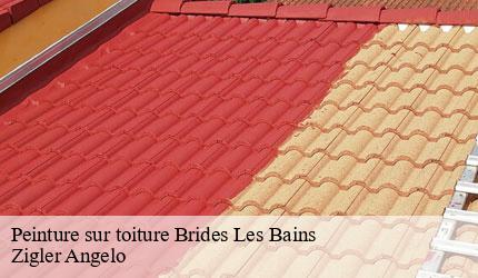 Peinture sur toiture  brides-les-bains-73570 Zigler Angelo