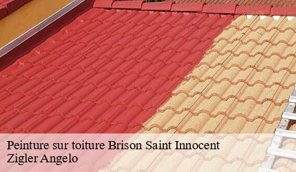 Peinture sur toiture  brison-saint-innocent-73100 Zigler Angelo