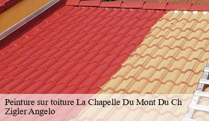 Peinture sur toiture  la-chapelle-du-mont-du-ch-73370 Zigler Angelo