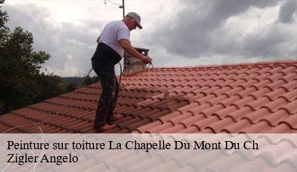 Peinture sur toiture  la-chapelle-du-mont-du-ch-73370 Zigler Angelo