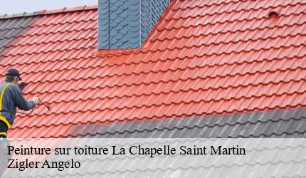 Peinture sur toiture  la-chapelle-saint-martin-73170 Zigler Angelo