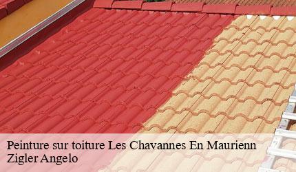 Peinture sur toiture  les-chavannes-en-maurienn-73660 Zigler Angelo