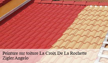 Peinture sur toiture  la-croix-de-la-rochette-73110 Zigler Angelo