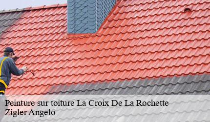 Peinture sur toiture  la-croix-de-la-rochette-73110 Zigler Angelo