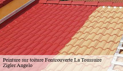 Peinture sur toiture  fontcouverte-la-toussuire-73300 Zigler Angelo