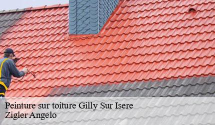 Peinture sur toiture  gilly-sur-isere-73200 Zigler Angelo