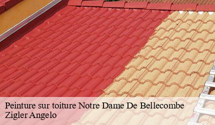 Peinture sur toiture  notre-dame-de-bellecombe-73590 Zigler Angelo