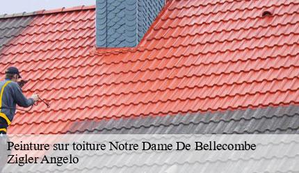 Peinture sur toiture  notre-dame-de-bellecombe-73590 Zigler Angelo