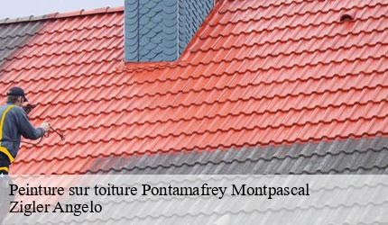 Peinture sur toiture  pontamafrey-montpascal-73300 Zigler Angelo