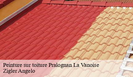 Peinture sur toiture  pralognan-la-vanoise-73710 Zigler Angelo