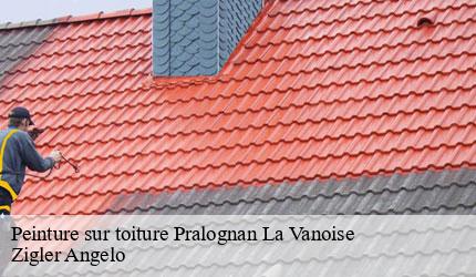 Peinture sur toiture  pralognan-la-vanoise-73710 Zigler Angelo