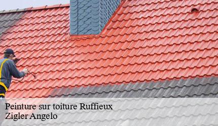 Peinture sur toiture  ruffieux-73310 Zigler Angelo