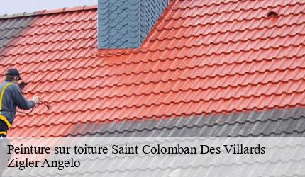 Peinture sur toiture  saint-colomban-des-villards-73130 Zigler Angelo