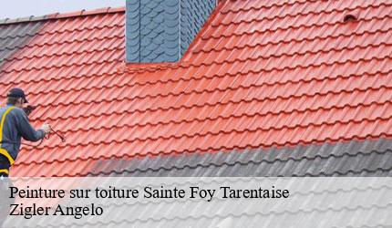 Peinture sur toiture  sainte-foy-tarentaise-73640 Zigler Angelo