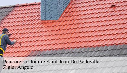 Peinture sur toiture  saint-jean-de-belleville-73440 Zigler Angelo