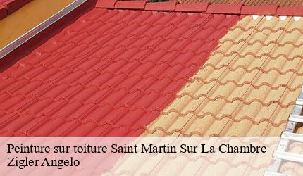 Peinture sur toiture  saint-martin-sur-la-chambre-73130 Zigler Angelo