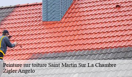 Peinture sur toiture  saint-martin-sur-la-chambre-73130 Zigler Angelo