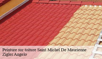 Peinture sur toiture  saint-michel-de-maurienne-73140 Zigler Angelo