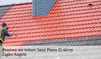 Peinture sur toiture  saint-pierre-d-alvey-73170 Zigler Angelo