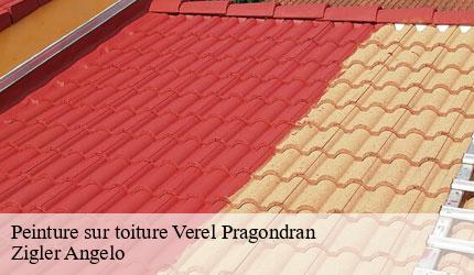 Peinture sur toiture  verel-pragondran-73230 Zigler Angelo