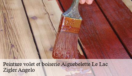 Peinture volet et boiserie  aiguebelette-le-lac-73610 Zigler Angelo