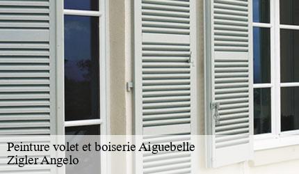 Peinture volet et boiserie  aiguebelle-73220 Zigler Angelo