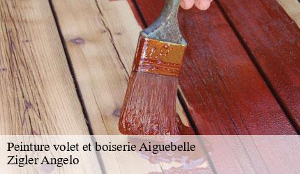 Peinture volet et boiserie  aiguebelle-73220 Zigler Angelo