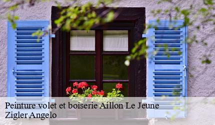 Peinture volet et boiserie  aillon-le-jeune-73340 Zigler Angelo