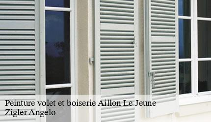 Peinture volet et boiserie  aillon-le-jeune-73340 Zigler Angelo