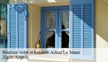 Peinture volet et boiserie  aillon-le-jeune-73340 Zigler Angelo