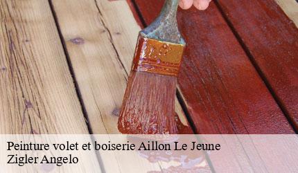 Peinture volet et boiserie  aillon-le-jeune-73340 Zigler Angelo