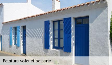 Peinture volet et boiserie  aillon-le-vieux-73340 Zigler Angelo