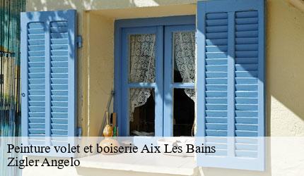 Peinture volet et boiserie  aix-les-bains-73100 Zigler Angelo