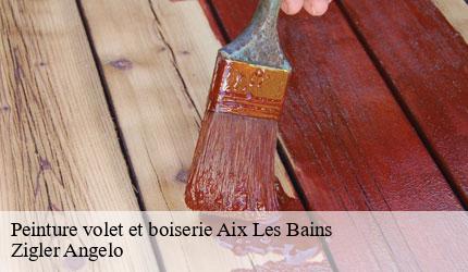 Peinture volet et boiserie  aix-les-bains-73100 Zigler Angelo