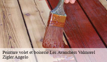 Peinture volet et boiserie  les-avanchers-valmorel-73260 Zigler Angelo