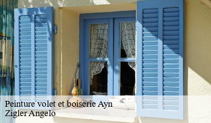 Peinture volet et boiserie  ayn-73470 Zigler Angelo