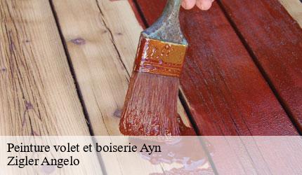 Peinture volet et boiserie  ayn-73470 Zigler Angelo