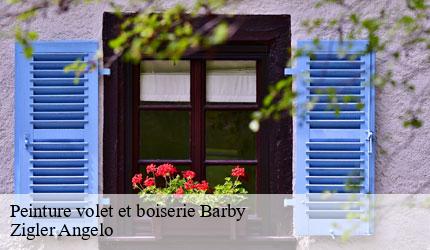 Peinture volet et boiserie  barby-73230 Zigler Angelo