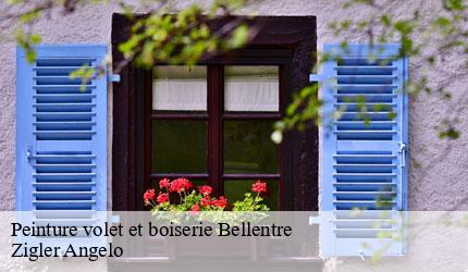 Peinture volet et boiserie  bellentre-73210 Zigler Angelo