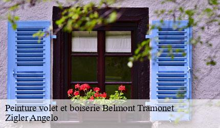 Peinture volet et boiserie  belmont-tramonet-73330 Zigler Angelo