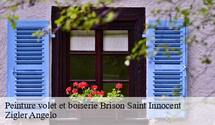 Peinture volet et boiserie  brison-saint-innocent-73100 Zigler Angelo