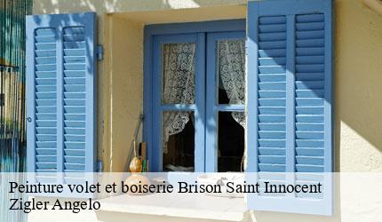 Peinture volet et boiserie  brison-saint-innocent-73100 Zigler Angelo