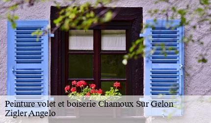 Peinture volet et boiserie  chamoux-sur-gelon-73390 Zigler Angelo