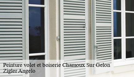 Peinture volet et boiserie  chamoux-sur-gelon-73390 Zigler Angelo