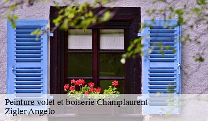 Peinture volet et boiserie  champlaurent-73390 Zigler Angelo