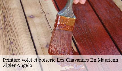 Peinture volet et boiserie  les-chavannes-en-maurienn-73660 Zigler Angelo