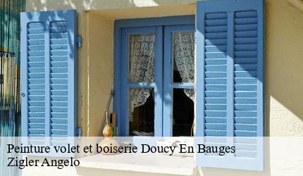 Peinture volet et boiserie  doucy-en-bauges-73630 Zigler Angelo